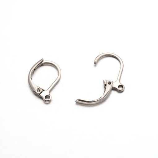 5 Pairs (10 earrings) of 16mmx10mm Stainless Steel Lever Back Earring Findings With Loop